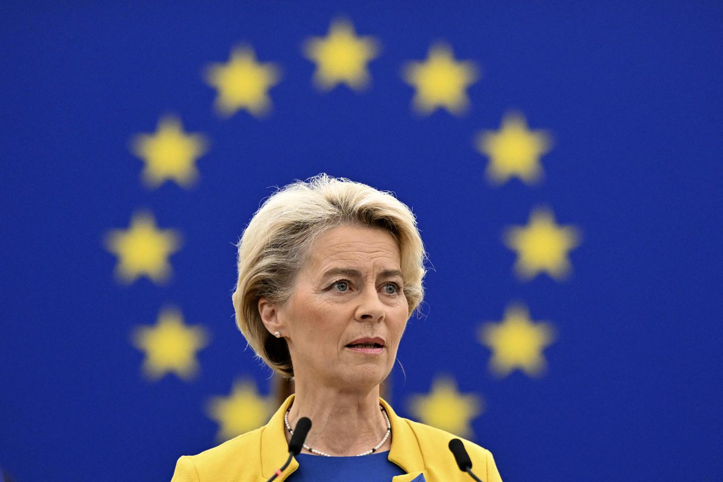 Ursula von der Leyen et l’UE : Une guerre sans fin contre les travailleurs