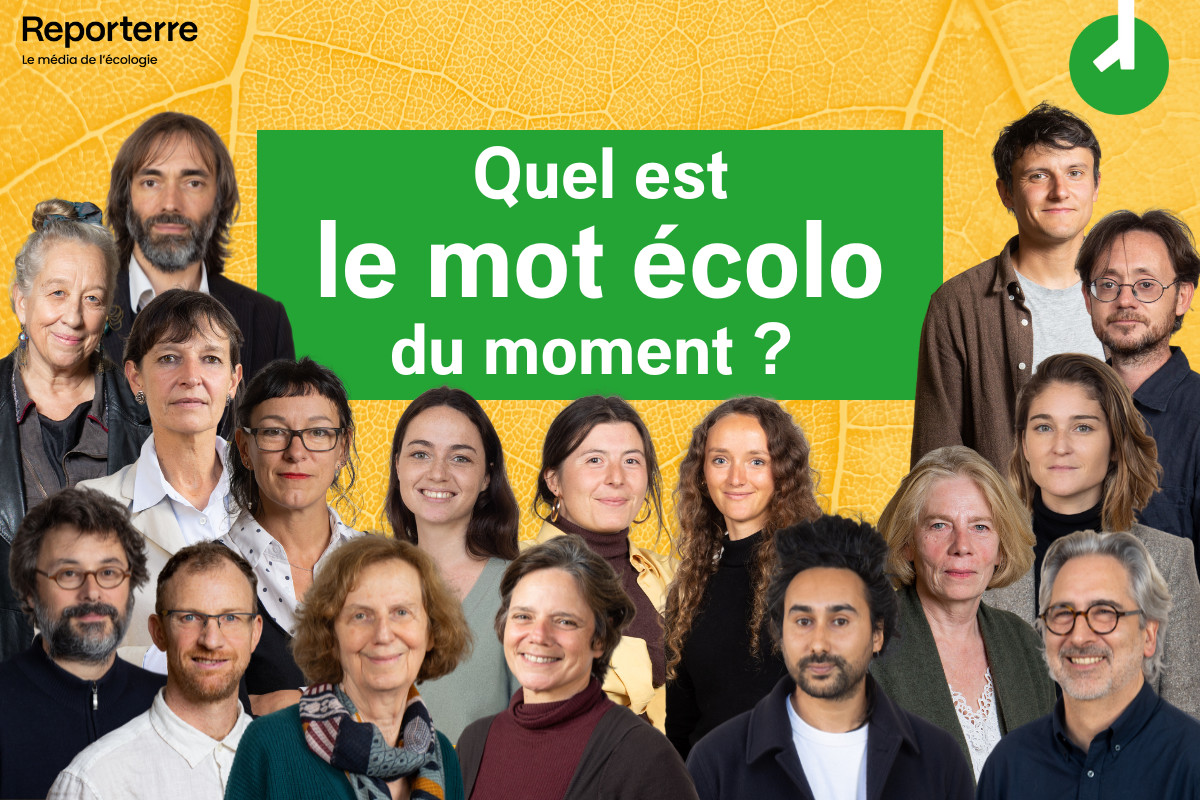 L’écologie déraille : les provocations de Reporterre ébranlent la société